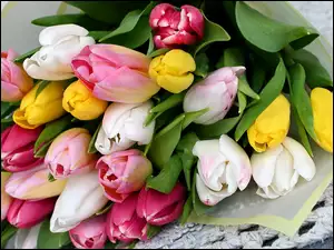 Bukiet kolorowych tulipanów w papierze