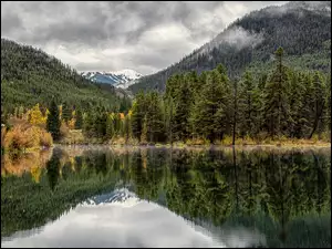 Drzewa, Góry Skaliste, Officers Gulch Pond, Stany Zjednoczone, Jezioro, Kolorado