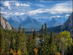Góry Skaliste, Park Narodowy Banff, Lasy, Kanada, Drzewa, Alberta