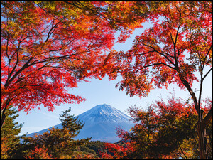 Góra Mount Fuji jesienią