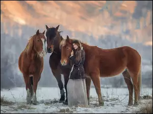 Dziewczyna z trzema koniami w śniegu