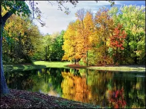 Kolorowe, Jesień, Rzeka, Park, Drzewa