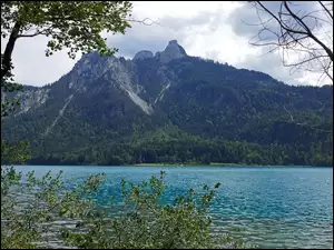 Drzewa nad górskim jeziorem w Alpach Bawarskich