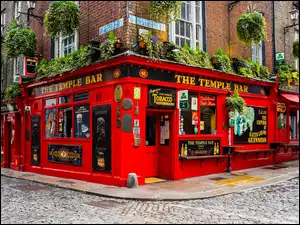 Bar z piwem irlandzkim w Dublinie
