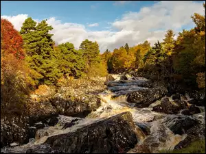 Rzeka spływająca po kamieniach w jesiennym lesie