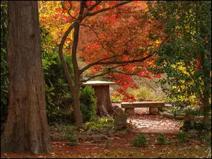 Drzewa, Jesień, Kolorowe, Park, Ławka