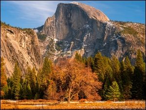 Kolory jesieni w Parku Narodowym Yosemite