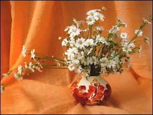Białe kwiaty rogownicy w wazoniku