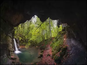 Jaskinia, Drzewa, Rzeka, Wodospad, Las