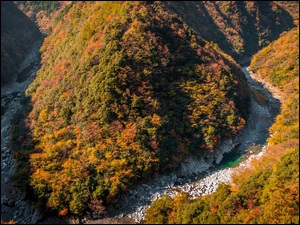 Japonia, Dolina, Hinoji Valley, Rzeka Iya, Zalesione, JesieĹ, Drzewa, GĂłry, Lasy, Wyspa Sikoku