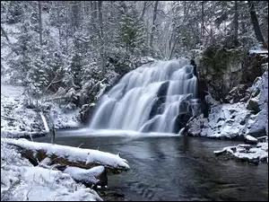 Wodospad wpadający do rzeki w zimowym lesie