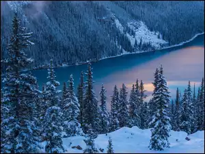 Jezioro Peyto w Parku Narodowym Banff w Kanadzie