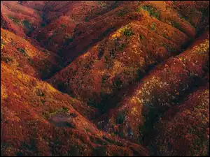 Kolorowa roślinność na zboczach gór