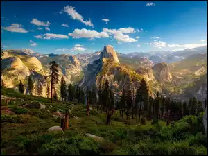 Góry i las w blasku słońca w kalifornijskim Parku Narodowym Yosemite