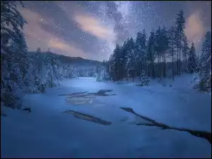 Zimowy las nocą z zamarzniętą rzeką