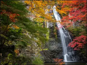 Park Narodowy Meiji no Mori Mino Quasi, JesieĹ, SkaĹa, Osaka, Kolorowe, Wodospad Minoo, Japonia, Drzewa