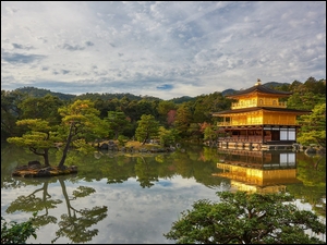 Świątynia Kinkakuji z drzewami i roślinami