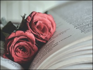 Dwie róże położone na książce