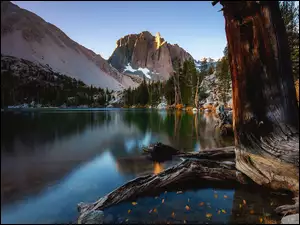 Kalifornia, Góry, Lasy, Stany Zjednoczone, Drzewo, Jezioro Big Pine Lakes, Sierra Nevada