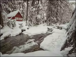 Dom w zaśnieżonym lesie nad potokiem zimą