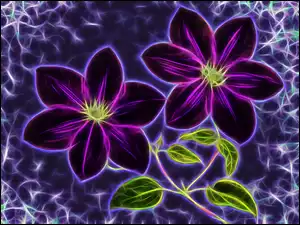 Fractailus graficzne kwiaty