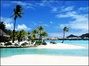 Domki, Bora Bora, Plaża, Morze, Palmy