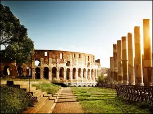Ruiny, Koloseum, Rzym