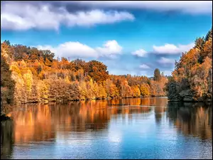 Drzewa, Jezioro, Jesień, Kolorowe