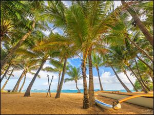 łódka pod palmami na plaży