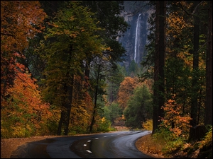 Las, Kalifornia, Bridalveil Fall, Droga, Wodospad, Park Narodowy Yosemite, Jesień, Stany Zjednoczone, Drzewa