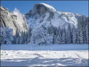 Zima, Park Narodowy Yosemite, Śnieg, Kalifornie, Góry, Drzewa, Stany Zjednoczone, Sierra Nevada