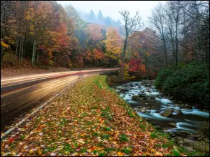 Jesienna droga wzdłuż rzeki