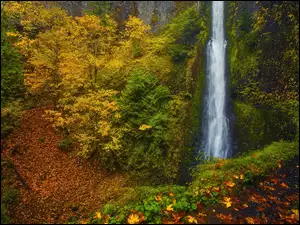 Las, Drzewa, Wodospad, Jesień, Wąwóz