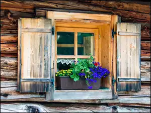 Dom z okiennicami i kwiatami na parapecie