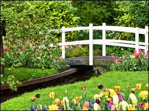 Tulipany i hiacynty przy mostku