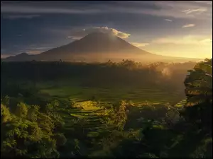 Indonezja, MgĹa, WschĂłd sĹoĹca, Drzewa, GĂłry, Wulkan Agung, Uprawne, Pola, Tarasy ryĹźowe, Wyspa Bali