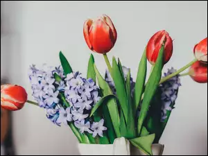 Kwiaty, Tulipany, Bez