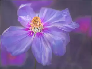 Fioletowy graficzny kwiatek