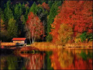 Odbicie, Jesień, Las, Drewniany, Jezioro, Drzewa, Dom, Kolorowy