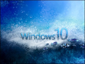 Woda, Windows 10, Rybki