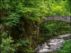 kamienny most z zielonymi drzewami i rwącą rzeką
