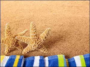 Rozgwiazdy z ręcznikami na piasku