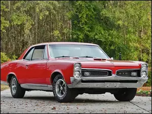 Samochód, Pontiac, GTO, Zabytek, Czerwony, 1967
