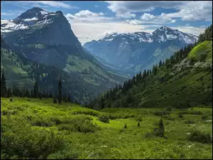 Dolina w Górach Skalistych