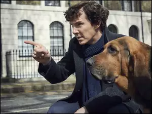 Benedict Cumberbatch z psem rasy bloodhound w filmie Sherlock