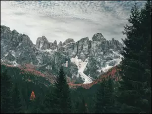 Widok zza drzew na Dolomity