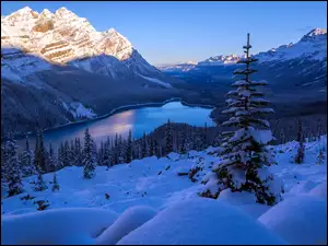Jezioro w zimowym Parku Narodowym Banff w Kanadzie