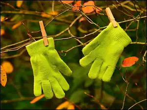 Rękawiczki zielone przypięte klamerkami do galązek z listkami