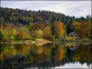 Dom, Drzewa, Jezioro, Jesień, Kolorowe