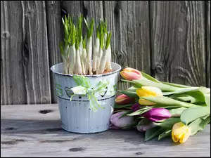 Bukiet tulipanów obok wiaderka